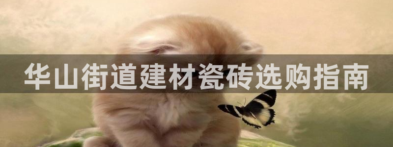 杏鑫官方平台怎么样啊安全吗