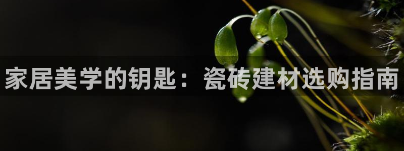 杏鑫平台正规吗是真的吗