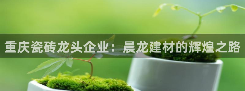 杏鑫平台怎么样知乎
