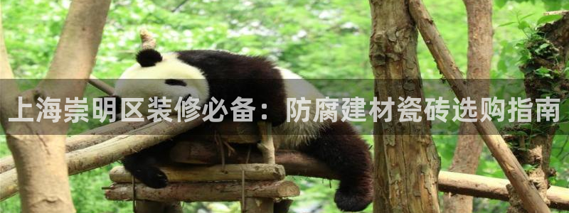 杏鑫代理注册平台