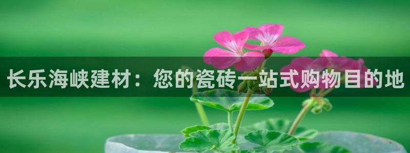 杏鑫平台号7O777