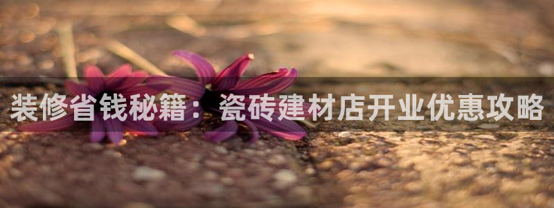 杏鑫平台注册登录