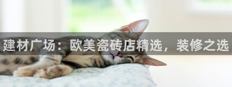 杏鑫平台直属哪个公司