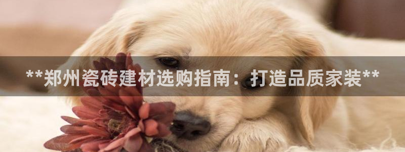 杏鑫平台列7O777
