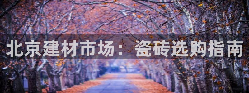 杏鑫娱乐多少年了
