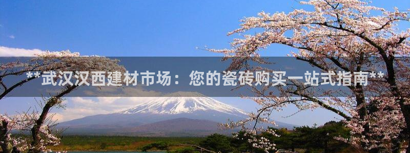 杏鑫平台代理注册要钱吗