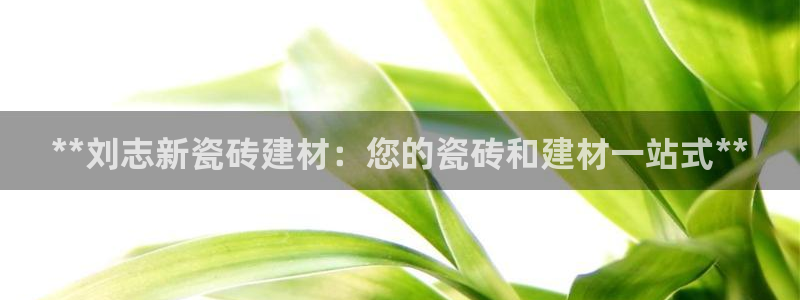 杏鑫平台代理
