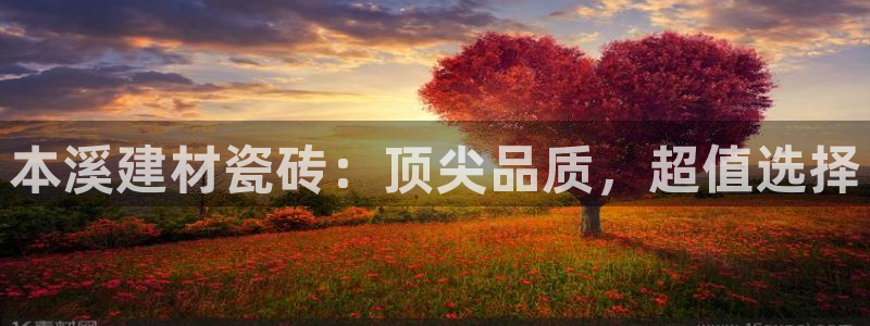 杏鑫平台在线注册