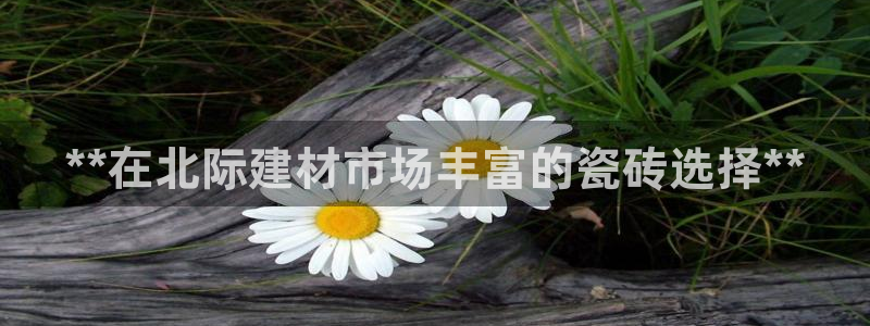 杏鑫注册登录代理公司