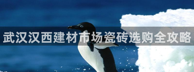 杏鑫平台代理注册登录不了怎么办呀