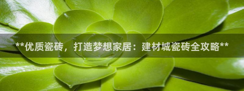 杏鑫娱乐平台登录