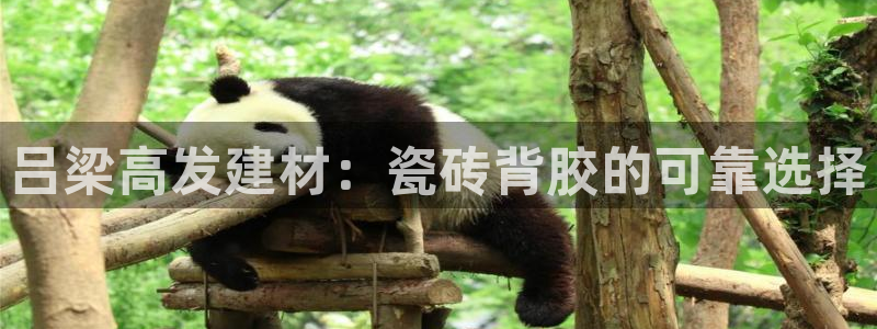 杏鑫官方平台怎么样可靠吗