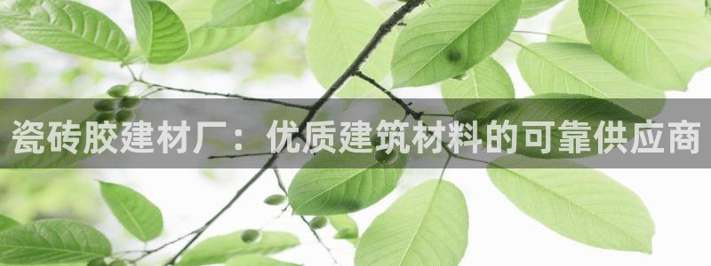 杏鑫平台代理注册流程