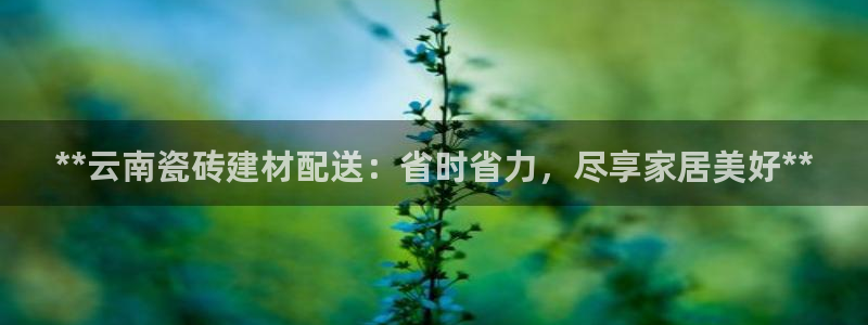 杏鑫平台野马联盟