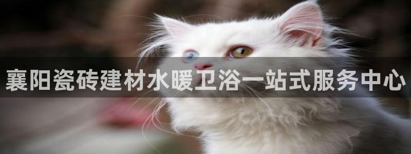 杏鑫娱乐官网登录