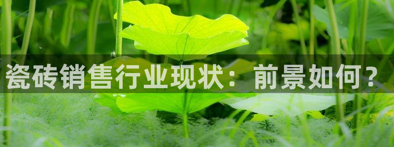 杏鑫官网注册账号是什么意思