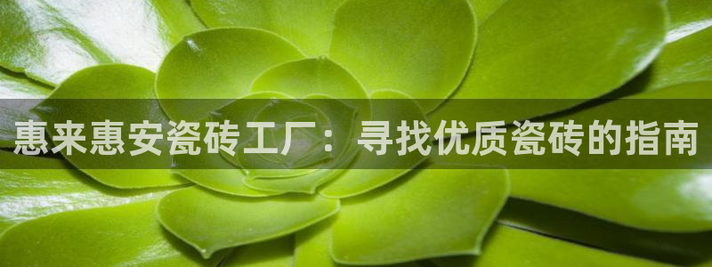 杏鑫娱乐官网登录