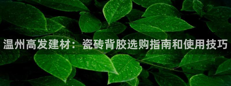 杏鑫官网注册账号密码是什么