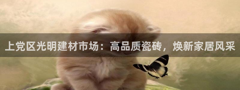 杏鑫平台注册网址是什么