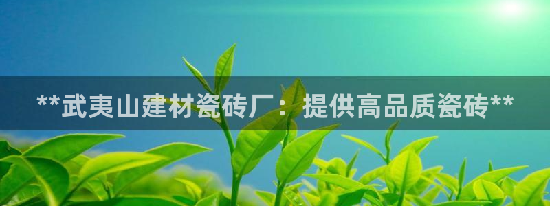 杏鑫官网注册账号是什么意思