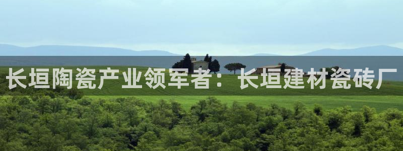 杏鑫注册登录代理公司