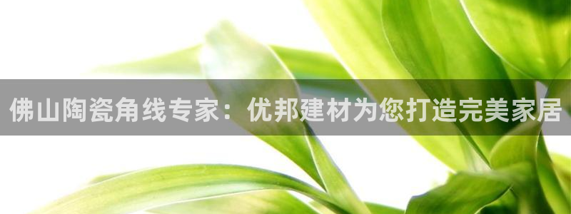 杏鑫平台代理注册多少钱一年