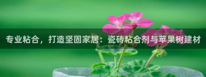 杏鑫平台招商电话号码查询