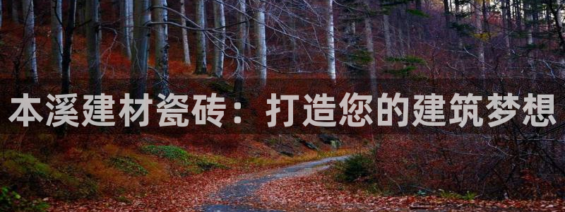 杏鑫平台登录地址在哪