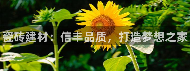 杏鑫注册