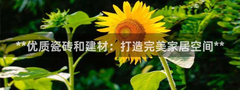 杏鑫官方平台怎么样