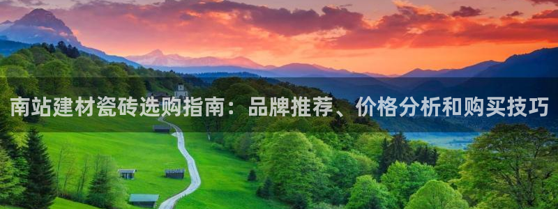 杏鑫娱乐开发团队