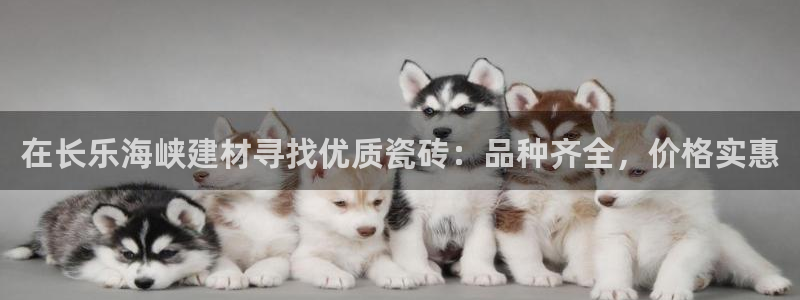 杏鑫平台平台娱乐怎么样