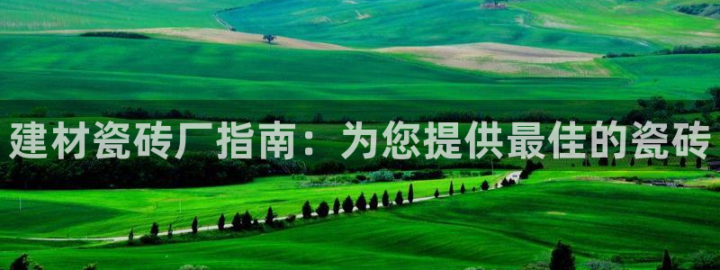 杏鑫官方平台怎么样啊安全吗