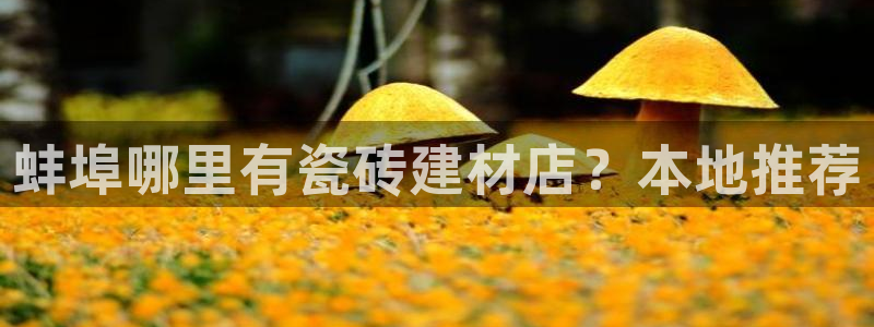 杏鑫平台代理