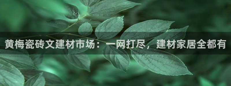 杏鑫平台平台娱乐