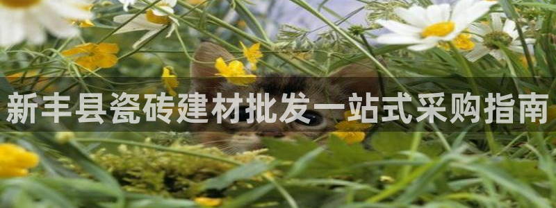 杏鑫平台招商怎么样可靠吗