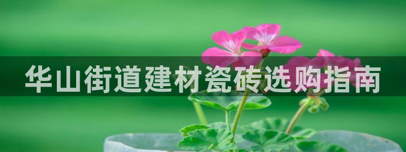 杏鑫娱乐负责人