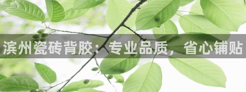 杏鑫平台代理注册多少钱