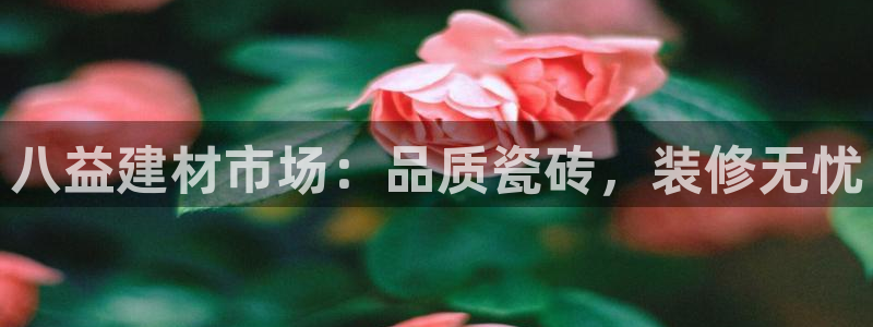杏鑫平台代理怎么做的