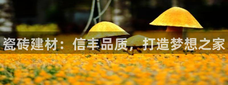 杏鑫娱乐多少年了