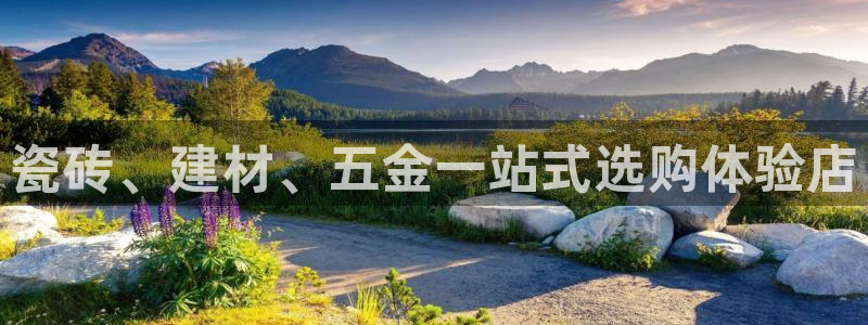 杏鑫娱乐开发团队