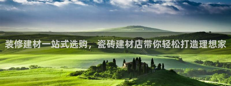 杏鑫代理注册资金多少