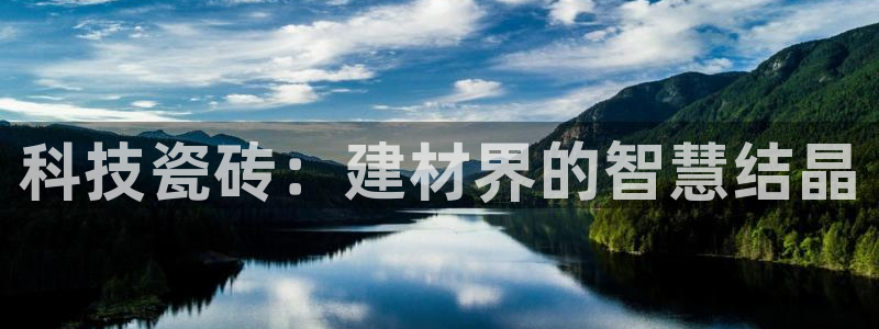 杏鑫平台直属哪个公司