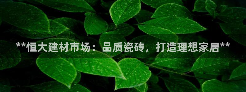 杏鑫平台招商电话