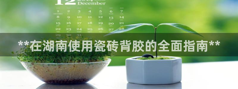 杏鑫平台注册入口