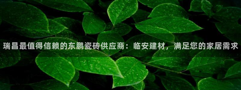 杏鑫娱乐负责人