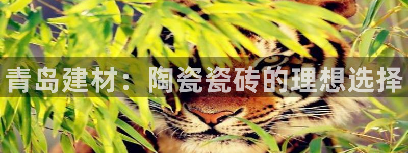 杏鑫娱乐官网下载