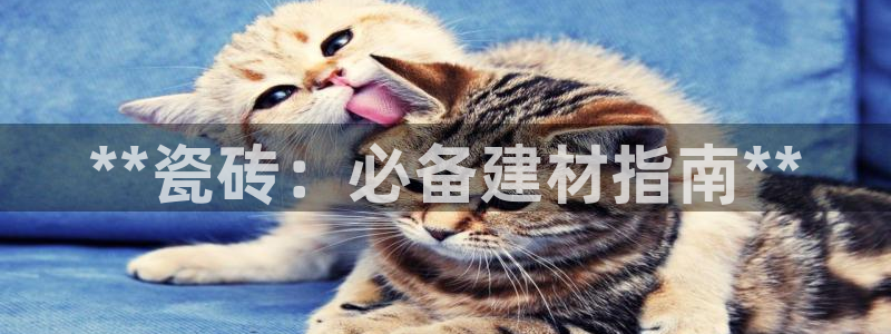 杏鑫平台怎么样黑钱吗是真的吗知乎