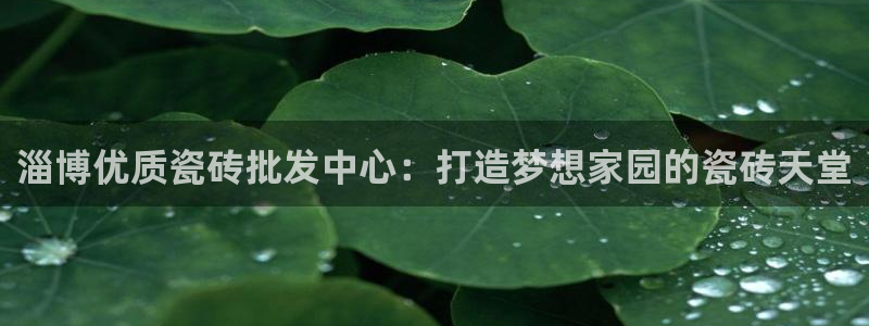 杏鑫有亏损返点吗