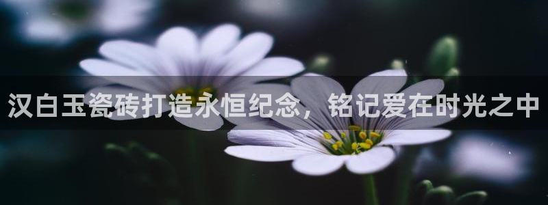 杏鑫官方平台怎么样